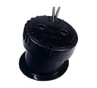 Raymarine Depth P79 Sonde traversante Plastique Noir