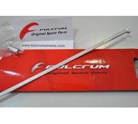 Rayon Fulcrum Racing 1 Arrière SX Argent/ Rear Left