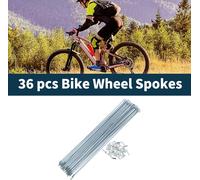 Rayons De VšŠlo En Acier GalvanisšŠ ArgentšŠ 1 Jeu 13G 273Mm Longueur 45 Acier GalvanisšŠ