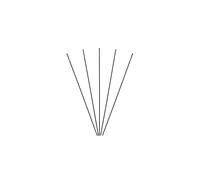 Rayons protour avant Massi (x5) Noir