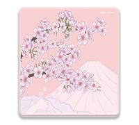 Raypad Aqua Control 2 PAD MONDE DE MONDE PAD MONDE ULTRA-HIGH PLATION AVEC LA VITESSE ET DE LA CAPABILIT DE CONTR LE COOSENT X ET Y GLIDE Con u