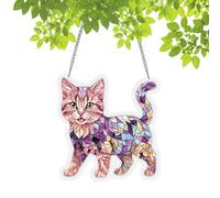 Raypontia Attrape-Puzzle en Acrylique à Assembler,Décoration Chat À Fabriquer Soi-Même | Attrape-Chat | pour Une Décoration Intérieure De La Maison, du Salon, De La Chambre Et sur Le Balcon en Été