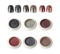 Raypontia Nail Chrome Powder Set, chrome pour ongles - 6 couleurs Miroir Effet Fingernail Chrome,Shimmer Nail fournit de la poudre pour le festival, les rencontres, le maquillage, l'Halloween