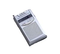 Raypow Radio portable, transistors FM, étui portable, fonctionne avec 2 piles AA, petite radio de poche, radio FM, haut-parleur puissant, utilisation en intérieur et en extérieur (argenté)
