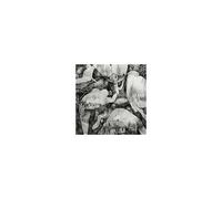 Rays Of Darkness CD