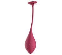 Raytech Rose - vibro-œuf sans fil rechargeable (rouge)