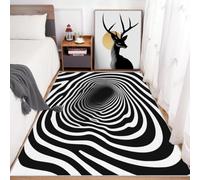 Rayures de ZèBre Tapis 60x90 cm Style Abstrait Moquette Antiderapant à Poils Courts Tapis 3D Lavable en Machine Convient aux EntréEs Couloirs et Portes d'Entrée b-2746