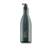 Raywell B.io Maintenance Shampooing Protection de la Couleur - Shampooing Doux pour Cheveux Colorés, Scelle & Protège la Couleur des Cheveux, Apporte brillance & douceur aux cheveux colorés - Sans