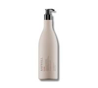 Raywell Eterna Après-shampoing de protection de la couleur avec complexe de couleur Longevity, soin pour cheveux colorés, améliore la brillance et le démêlage, 1000 ml