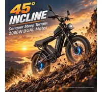 Rayzeph C20Max 2000W Vélo électrique à double moteur 52V 40Ah double batterie 180Km d'autonomie Vélo électrique adulte à pneus larges de 20 pouces Freins hydrauliques Shimano 7 vitesses Vélo Black 150