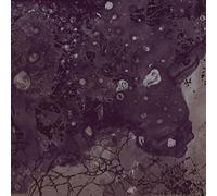 Razed to the Ground by Pinkish Black (2013-09-17)