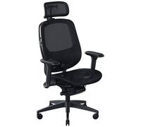 Razer Fujin Pro - Chaise Gaming Haut de Gamme (Maille Confortable et Respirante, Technologie Synchro-Tilt, Support Lombaire 2D, Cadre en Aluminium Ultra Résistant, Accoudoirs rembourrés 4D) Noir