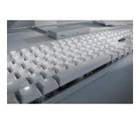 Razer Pro Type Ultra Clavier Usb + Rf Wireless + Bluetooth Qwerty All