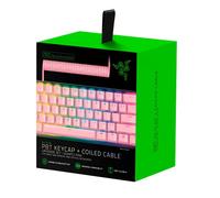 Razer Upgrade-Set avec capuchons de touches PBT + câble spiralé (120 touches PBT Doubleshot, câble USB-C vers USB-A, câble en fibre tressée) US Layout | Quartz