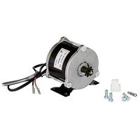 Razor Crazy Cart XL Motor with Screws (500W)