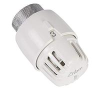 Rbm - Tête thermostatique TL10 - RBM : 5900000