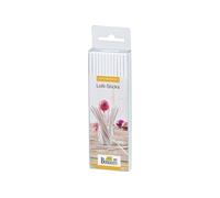 Rbv birkmann 443099 bâtonnet à sucettes pour cakepops carton blanc 15 x 0,1 x 0,1 cm