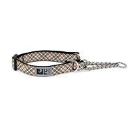 RC Pet Products 3/10,2 cm d'entraînement Martingale Collier de Chien