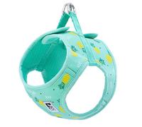 RC Pet Products Cirque Harnais Doux pour Chien Motif Parade d'ananas Taille XS