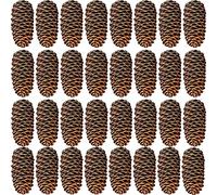 Rcanedny Lot de 30 Grandes Pommes de pin Naturelles pour décoration de fête de Noël, Loisirs créatifs, décoration d'intérieur (8 à 10 cm)