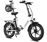 RCB Vélo électrique à Gros pneus de 20 Pouces avec Batterie Amovible de 36 V 15,6 Ah, 250 W, 25 km/h, autonomie de 80 km, vélo électrique Pliable pour Les navetteurs urbains