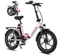 RCB Vélo électrique à Gros pneus de 20 Pouces avec Batterie Amovible de 36 V 15,6 Ah, 250 W, 25 km/h, autonomie de 80 km, vélo électrique Pliable pour Les navetteurs urbains