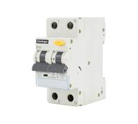 RCBO 2 pôles B/C 16A/25A 30mA Type A - Disjoncteur de courant défaut 6kA, rail DIN, 230V AC, IP20, conforme à l'UE (2 pôles | C | 25A)