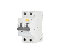 RCBO 2P 25 A 30 mA Type AC - Protection contre les surcharges et les pannes de terre, idéal pour les installations électriques sûres.