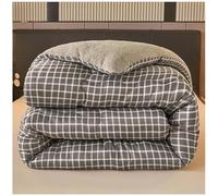 RCGNR Consolateur Couette Lit Chaud Et Doux d'hiver Couverture éPaissie en Cachemire d'agneau, Couette Chaude en Cachemire, Couette éPaisse à Noyau De Couette d'hiver C,135x200cm/2kg