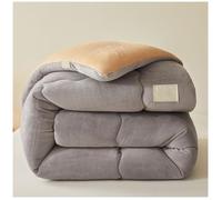 RCGNR Couette Chaude Duveteuse RéVersible, Couvertures d'hiver éPaisses Et Chaudes, Couverture Anti-Allergique d'hiver, 2 Personne Couvertures d'hiver C, 220x240cm/5kg