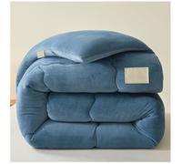 RCGNR Couette Chaude Duveteuse RéVersible, Couvertures d'hiver éPaisses Et Chaudes, Couverture Anti-Allergique d'hiver, 2 Personne Couvertures d'hiver E, 220x240cm/5kg