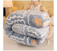 RCGNR Couette Chaude Sherpa, Couverture d'hiver en Polaire Double Face, Couette éPaisse en Hiver pour Lit 2 Personnes, éPaissir Cachemire Courtepointe B, 200x230cm/4kg