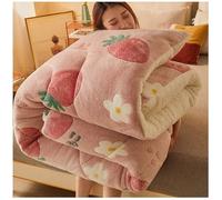 RCGNR Couette Chaude Sherpa, Couverture d'hiver en Polaire Double Face, Couette éPaisse en Hiver pour Lit 2 Personnes, éPaissir Cachemire Courtepointe I, 200x230cm/5kg