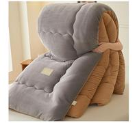 RCGNR Couette en Microfibre 4 Saisons, Duveteux Couette, Couvertures d'hiver éPaisses Et Chaudes, Couette De Peluche Double Face, Chaude Gonflant éPaisse éDredon B, 220x240cm/4kg