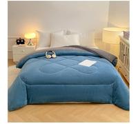 RCGNR éDredon Chaude en Hiver, Couette en Duvet RéVersible, Velours De Lait RéVersible Couette, Couvertures d'hiver éPaisses Et Chaudes, Chaud Et Confortable C, 220x240cm/4kg