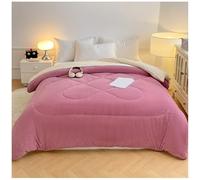 RCGNR éDredon Chaude en Hiver, Couette en Duvet RéVersible, Velours De Lait RéVersible Couette, Couvertures d'hiver éPaisses Et Chaudes, Chaud Et Confortable B, 220x240cm/4kg