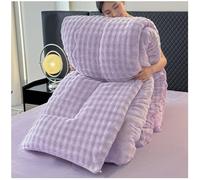 RCGNR éDredon Chaude en Hiver, Duveteux Couette, Couette Double Face éPaisse Et Chaude, Couverture Velours De Lait 2.5-5kg pour Lit 2 Personnes D, 200x230cm/3kg