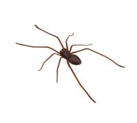 RCGOFOLLOW Aimants araignées réalistes pour des farces Quotidiennes sur des Amis Surfaces métalliques extérieures pour Maintenir Le positionnement. 3D réaliste, Brun