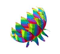 RCGOFOLLOW Cerf-Volant géant Souple, Facile à Assembler et à Faire Voler, pour garçons et Filles. Expérience Sportive 3D Amusante en extérieur. Cerf-Volant Volant sans Cadre