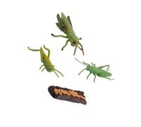 RCGOFOLLOW Outil pédagogique sur Le Cycle de Croissance des Animaux, Moyen interactif en Classe pour enseigner pour aux Enfants la Nature et la Vie des Insectes. Cycles de Vie Insectes naturels,