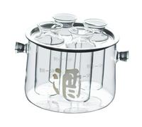 RCGOFOLLOW Verres à saké froid, carafe à saké transparente, bouteille en verre robuste, idéale pour la décoration intérieure et les fêtes, ensemble de verres élégants en verre borosilicate de haute