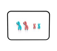 RCULWPLP Meiosis Kit Modèle Chromosome Assemblage Division Organelle Fonction Démontable Ensemble Pédagogique Adapté Aux Enfants Enseignants Laboratoire Salle, Rouge Bleu