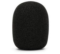 RØDE WS2