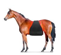 RDHMJSJAZ for La Récupération Musculaire du Cheval, Thérapie par Lumière Rouge LED for Les Douleurs Aux Jambes du Cheval, Kit De Thérapie for Les Jambes du Cheval