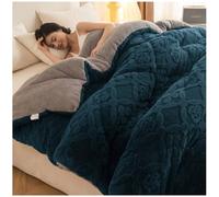 RDIAYDN ÉPaissir Cachemire Courtepointe, Couette Double Chaude Gonflant ÉDredon, Couverture d'hiver en Polaire Double Face, Couette 2 Personne Laine, Couette d'hiver(H,150x200cm/2kg)