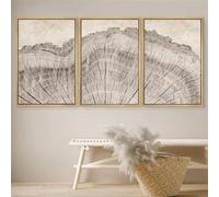 RDRDtbtr Rétro bois arbre anneaux illustrations affiches moderne neutre Toile tableau peinture Boho Murale art Tableaux salon Decoration à la maison 50x70 cm x 3 sans cadre