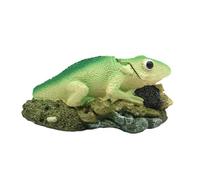 Rdxanc Exquisites Reptiles Aquariums Grand Aquarium Maison Bureau Hôtel Décoration pour Aquarium Décoration et Oxygénation