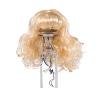 Rdxanc Perruque tendance pour animal domestique - Look accrocheur pour Halloween, Noël, fête