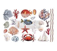 Re-Design Transferts 6 x 12 3/Pkg, vie marine incroyable