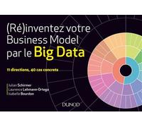 (Ré)inventez votre business model par le Big Data - Julian Schirmer - Dunod - broché - Guide